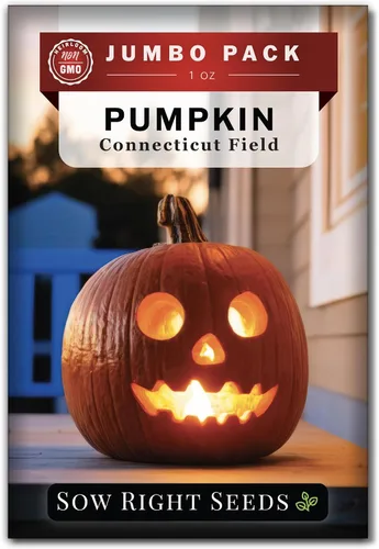 Sow Right Seeds - Semillas de calabaza de campo de Connecticut a granel para plantar - 1 onza, 140 semillas - Jack O'Lantern sin OMG para plantar un