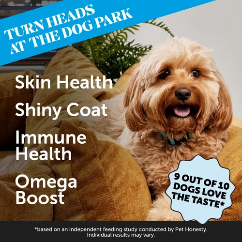 Miniatura 2 de Pet Honesty Skin Health - Masticables de salmón - Alivio de la picazón para perros, aceite de pescado Omega 3 para perros, aceite de salmón natural