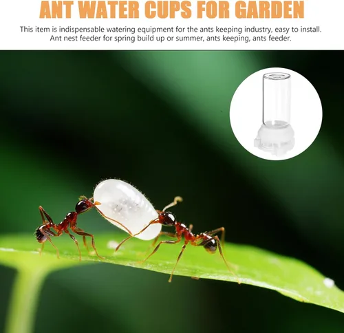 Miniatura 3 de Ipetboom Comedero de agua para hormigas, tazas de alimentación líquidas transparentes para Ant Farms, paquete de 2 herramientas de diseño duradero