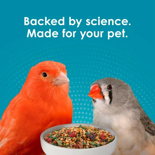Miniatura 11 de Kaytee Forti-Diet Pro Health Canary & Finch Alimento para pájaros para mascotas, 2 libras