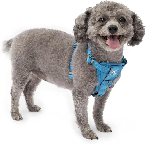 Miniatura 15 de Kurgo Tru-Fit - Arnés inteligente para caminar para perros, ajuste cómodo, arnés ajustable, reflectante para mascotas, liberación rápida