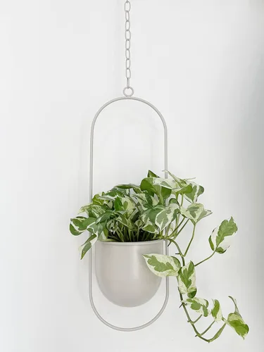 Miniatura 8 de RISEON Colgador de Plantas de Metal Verde Boho, Maceta Colgante de Metal para Pared y Techo, Maceta Moderna, Soporte de Maceta de Flores de Mediados