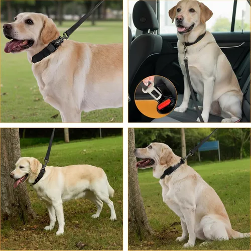 Miniatura 6 de Annchwool Juego de collar ajustable para perro y correa de 5 pies con hebilla de metal resistente, cómodo forro reflectante y doble asa para perros