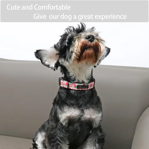 Miniatura 5 de Aring Pet Collar de algodón, ligero y ajustable, con hebilla de liberación rápida, para perros pequeños, medianos y grandes, para cachorros, M