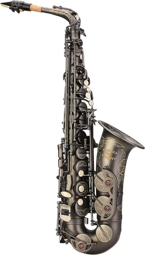Miniatura 2 de Kit de cuidado para saxofón con 11 reeds, 8 para saxofón alto cojines, funda, Glory E Flat