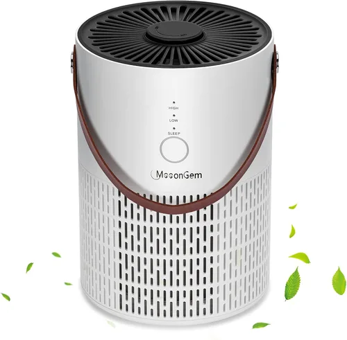 Purificador de aire para dormitorio y hogar, purificador de aire con esponja de fragancia para un mejor sueño, purificadores de aire para el hogar