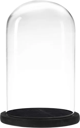 MyGift The Bell Jar Cloche de cristal con base de madera negra, 10 pulgadas de alto, cúpula de cristal decorativa transparente para plantas,
