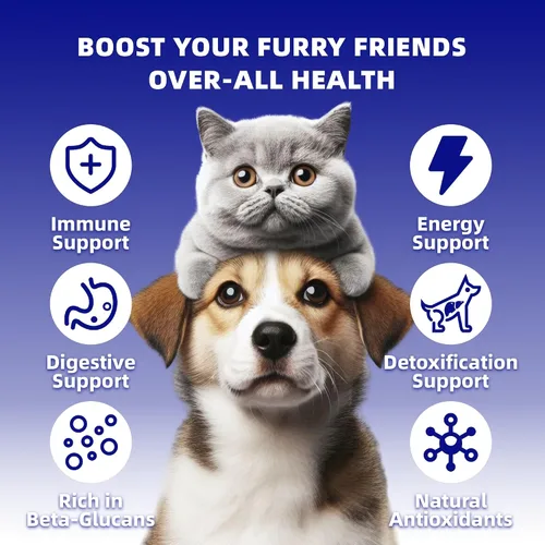 Miniatura 3 de Extracto de hongos en polvo para perros y gatos – Complejo de 10 hongos suplemento para mascotas para inmunidad, salud celular, cognición