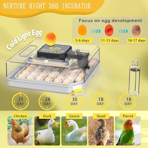 Miniatura 4 de Incubadoras para incubar huevos Incubadora de 48 huevos con giro automático y control de humedad para pollo, vela de huevo para huevos de gallina