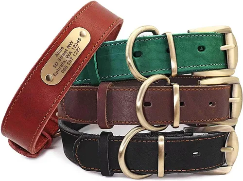 Miniatura 6 de Didog Collares de perro de cuero genuino con placa de identificación grabada, collar de perro de cuero suave personalizado con etiqueta de Verde