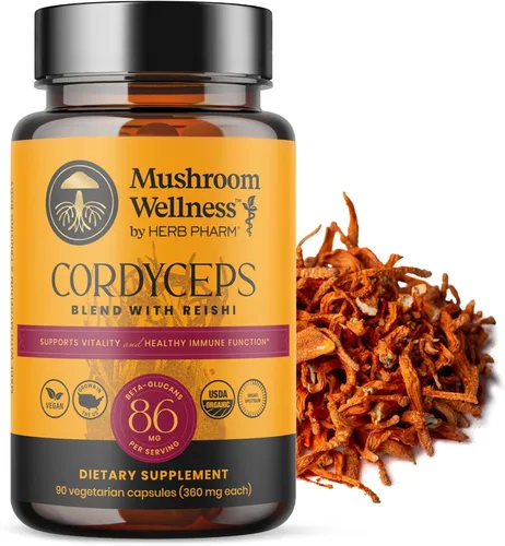 Mezcla Cordyceps de bienestar de hongos con cápsulas Reishi: cápsulas orgánicas de hongos, suplemento en polvo de hongos, apoya el sistema