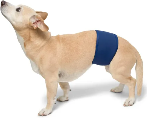 Miniatura 4 de PlayaPup Banda para el vientre de perro macho, color real, grande