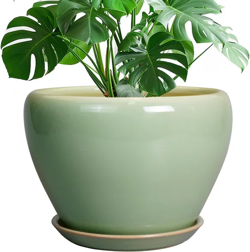Miniatura 34 de Maceta de Cerámica Moderna con Esmalte para Suculentas con Agujero de Drenaje y Platillo, Maceta Redonda de 6 Pulgadas para Plantas de Flores