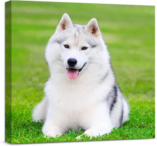 Miniatura 20 de Anjiefo Impresiones en lienzo personalizadas con tu foto, lienzo personalizado para pared, imprime tus fotos en lienzo, regalos para familiares