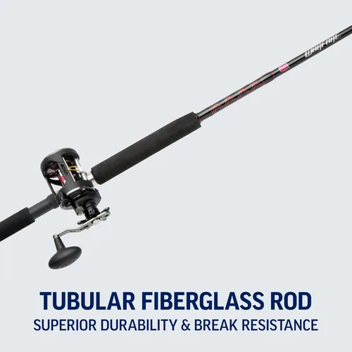 Miniatura 7 de Penn Warfare Level Wind Fishing Rod and Reel Conventional Combo