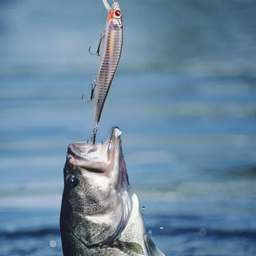 Miniatura 6 de Kit de señuelo de pesca de surf Sriper Señuelo de agua salada Minnow Señuelos Jertbait Topwater Popper Plugs Buceo Cebos Duros Costa Rica Ocen Pesca