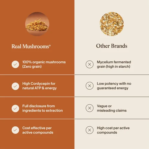 Miniatura 6 de Real Mushroom Cordyceps - Polvo de hongos Cordyceps Energía y rendimiento - Polvo Cordyceps orgánico con beta-glucanos, suplemento vegano, sin OMG
