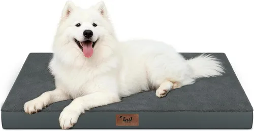 Miniatura 92 de Cama ortopédica de felpa para perros y cachorros medianos, camas impermeables para perros de 30 x 20 pulgadas con funda extraíble lavable, tapete