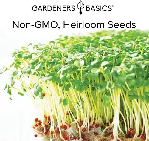 Miniatura 7 de Gardeners Basics, Kit de semillas de brócoli para germinación y microverdes sin OMG, bolsa de brotes resellables a granel de 1 libra