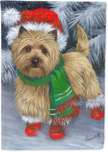 Miniatura 85 de Caroline's Treasures PPP3097CHF - Pijama de Navidad con diseño de bulldog francés para colgar en la pared, poliéster, tamaño de casa, multicolor