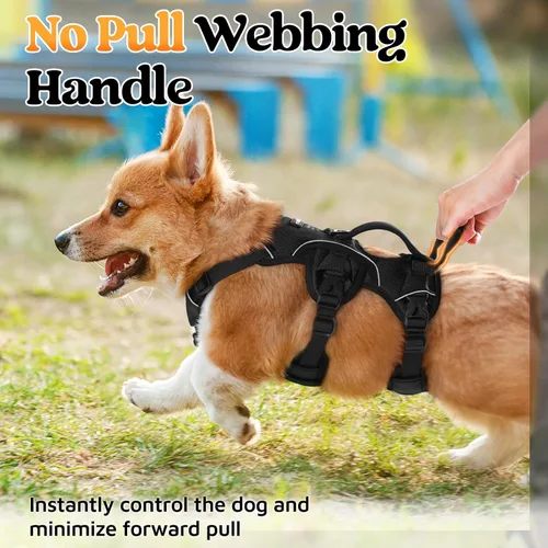 Miniatura 4 de rabbitgoo - Arnés para perros a prueba de fugas, arnés para mascotas acolchado y suave de cuerpo completo, arnés reflectante ajustable sin tirones