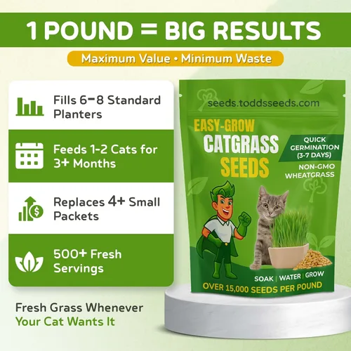 Miniatura 9 de Todd's Seeds – Hierba para gatos de interior o exterior, 1 libra de hierba de trigo – Premium, 100% libre de químicos (mejor que orgánico) sin GMO