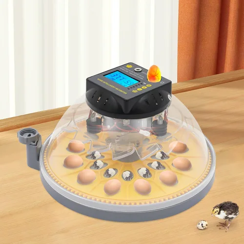 Miniatura 4 de 12 incubadoras para incubar huevos, incubadora de huevos de gallina con giro automático de huevos y pantalla de humedad y luz LED para incubar pollos