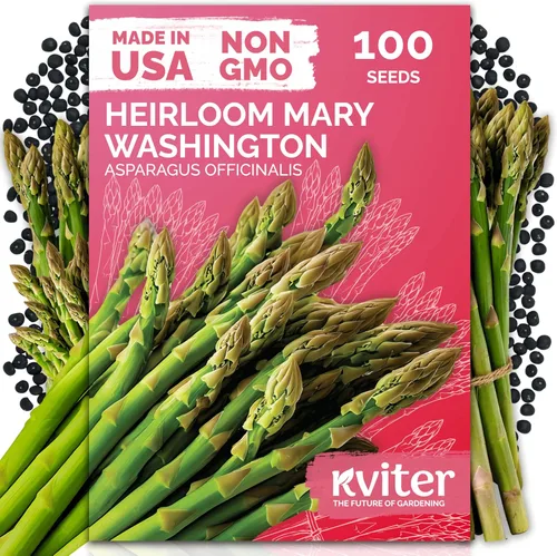 Miniatura 14 de KVITER 3100 semillas de zanahoria tiernas para plantar (Daucus carota) - Semillas de vegetales sin OMG para jardín al aire libre - Zanahorias dulces
