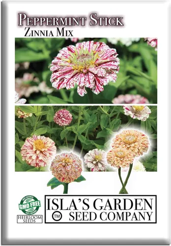 Semillas de zinnia "Peppermint Stick" para plantar, más de 100 semillas de flores por paquete, semillas de jardín de Isla (semillas de jardín de
