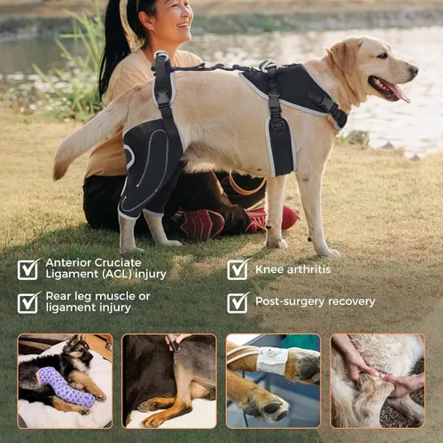 Miniatura 5 de Rodillera para perro para rehabilitación de desgarro del ligamento cruzado anterior y rótula dislocada, soporte ajustable para piernas y suficiente