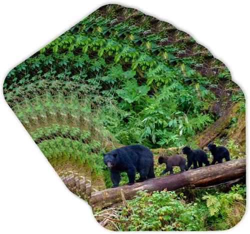 Miniatura 9 de 3dRose Black Bear Triplets Follow mom at ANAN Creek. Set of 4 Coasters - Soft