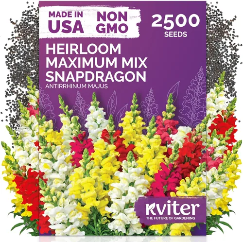 Miniatura 54 de KVITER 1600 semillas de pensamiento de los gigantes suizos para plantar (Viola wittrockiana) - Paquetes de semillas de colores mixtos Flores