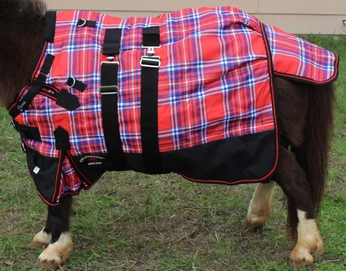 Miniatura 2 de Manta de invierno de 36 "1200D en miniatura de burro de destete poni caballo potro rojo blanco azul 51972B
