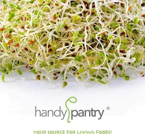 Miniatura 5 de Handy Pantry Organic Sbrouting Seed Mix – 2.5 lb – 10 variedades: Alfalfa Frijol mung, brócoli, lentejas, trébol, trigo sarraceno, rábano