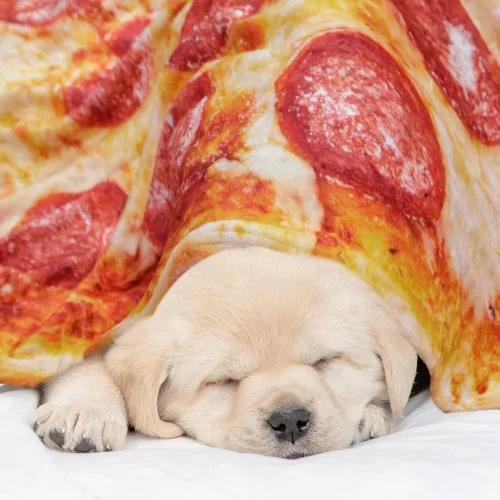 Miniatura 3 de QiyI Manta de pizza para adultos y niños, 2.0 manta gigante de comida de doble cara, divertidos regalos de pizza, mantas redondas de tacos novedosos