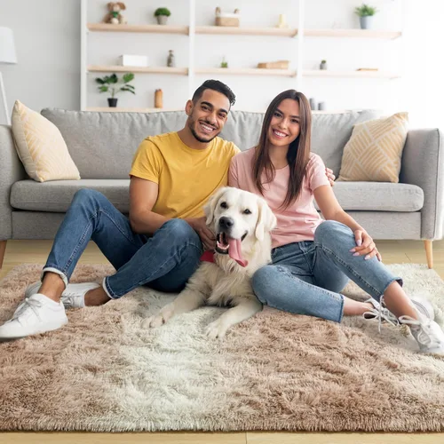 Miniatura 2 de Noahas Alfombras de Área Grandes y Esponjosas de 5x8 pies para Sala de Estar y Dormitorio, Alfombra Gruesa de Pelo Largo Beige y Blanca, Alfombra