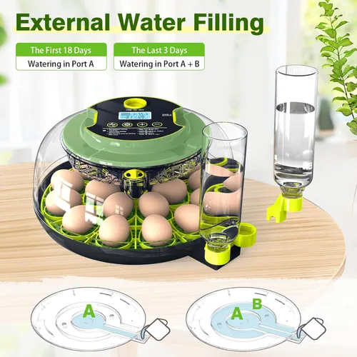 Miniatura 7 de 18 incubadoras de huevos para incubar huevos, incubadora de huevos con control de temperatura, pantalla de humedad, girador automático de huevos