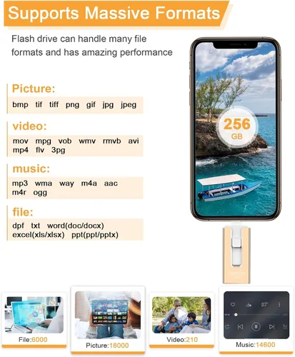 Miniatura 7 de GNASEET 256GB USB Flash Drive for Phone and Pad, Photo Stick High Speed External USB Thumb Drives Photo Storage Memory Stick for Save More Photos