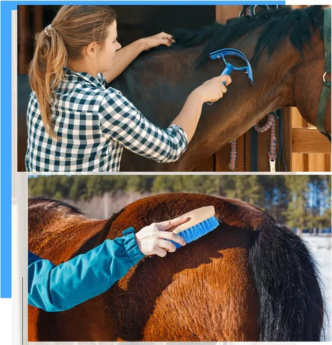 Miniatura 7 de Abbylike Kit de aseo de caballos de 12 piezas, suministros para sala de carreras, festivales, juegos de cepillos para caballos, kit de limpieza