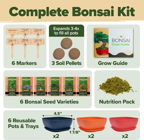 Miniatura 2 de HOME GROWN Kit de árbol bonsái – 6 variedades heredadas con macetas únicas – Kit de inicio de bonsái DIY para adultos y principiantes – Regalo