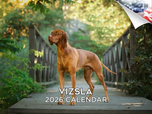 Miniatura 75 de Calendario 2025 2026 de cachorros Cocker Spaniel - Calendario mensual de pared de raza de perro - 12" x 24" abierto - Papel grueso sin sangrado
