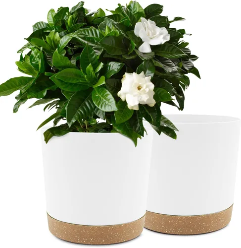 Miniatura 15 de QCQHDU Maceta de 8 pulgadas, paquete de 2 macetas para plantas de interior con agujeros de drenaje y platillo, macetas para exteriores, decoración