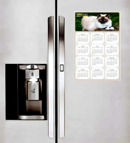 Miniatura 4 de Calendario magnético 2024 – Imanes del calendario – Today is my Lucky Day – Resistente a la decoloración, desgarros y agua – Temática de gato 02