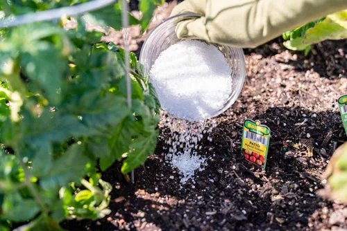 Miniatura 3 de Epsoak Sal de Epsom Sulfato de magnesio de grado agrícola de 18 libras. Bolsa resellable a granel para jardinería y cuidado del césped, fabricada