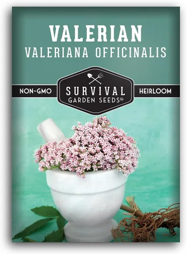 Survival Garden Seeds - Semillas de valeriana para plantar - 1 paquete con instrucciones para plantar y cultivar hierba medicinal Valeriana