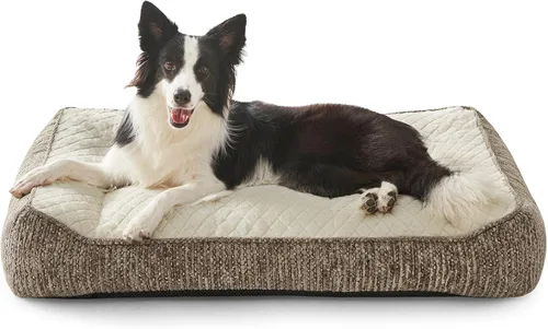 JOEJOY Camas ortopédicas XL para perros de tamaño grande, extra gruesas, con apoyo y laterales, sofá cama ultrasuave para perros grandes, color Beige