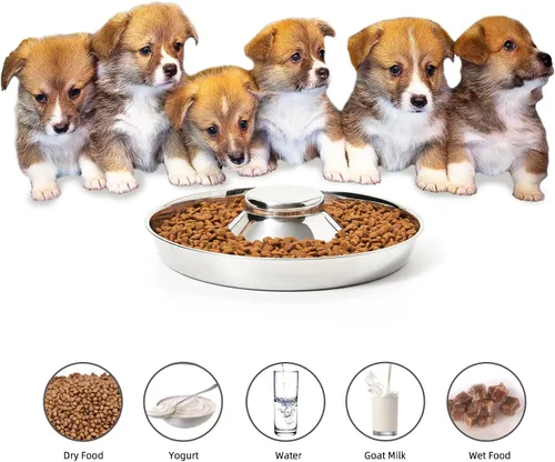 Miniatura 5 de Paquete de 2 cuencos de acero inoxidable para cachorros, comedero para múltiples mascotas, comida para perros y agua, destete de alimentación