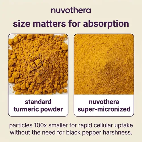 Miniatura 3 de Nuvothera Cápsulas de curcumina de cúrcuma supermicronizada de absorción rápida, raíz entera, sin OMG, piel, salud intestinal y antioxidantes