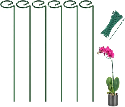 Miniatura 14 de Joyhalo Paquete de 12 estacas para plantas, estacas de soporte para plantas de 16 pulgadas, soporte de palos para plantas con 24 lazos giratorios