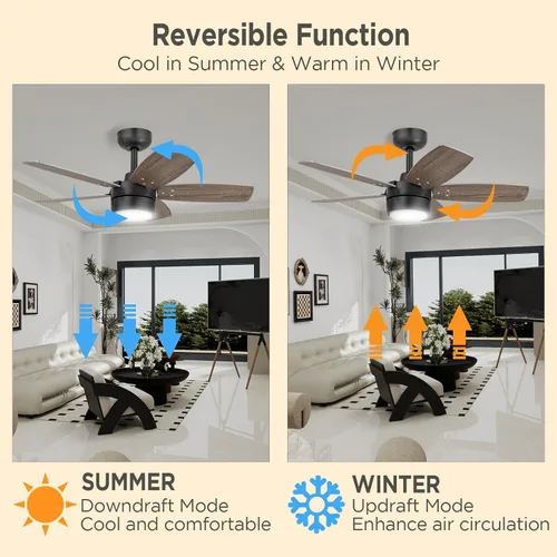 Miniatura 4 de Ventilador de techo de 36 pulgadas para habitación pequeña: Ventiladores de techo modernos con control remoto de luz - Motor CC silencioso